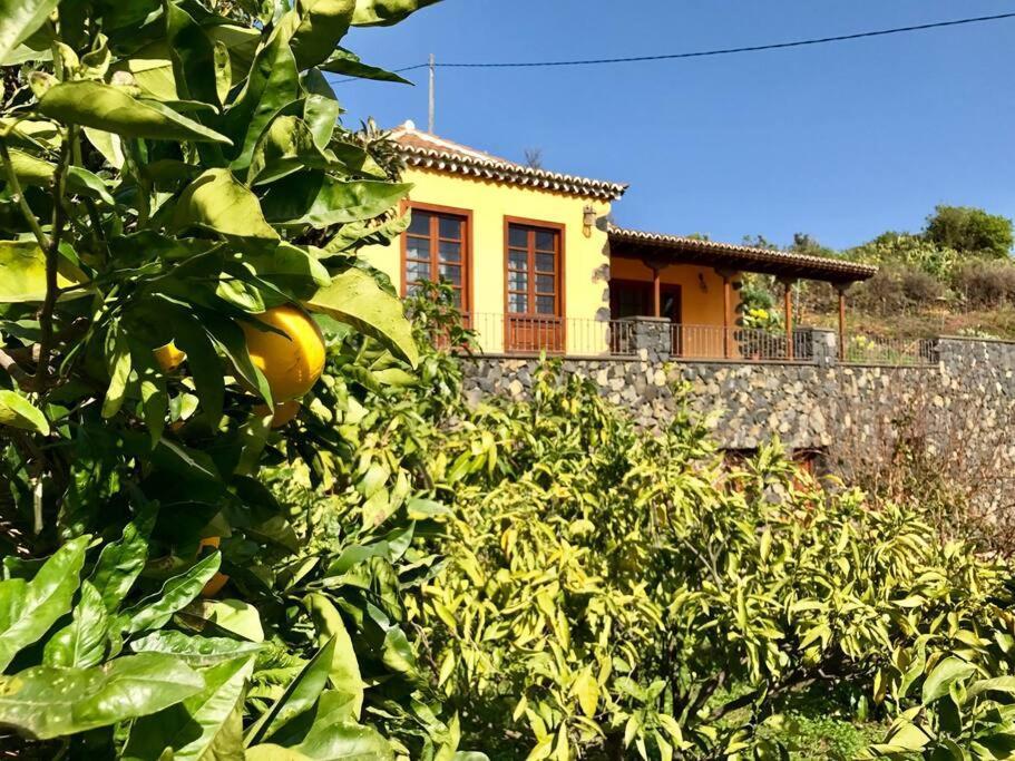 브레나바자 Rustic House La Montana 빌라 외부 사진